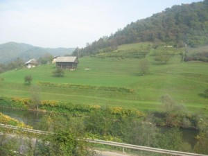 campagne en Slovénie, dans le train pour aller à Maribor