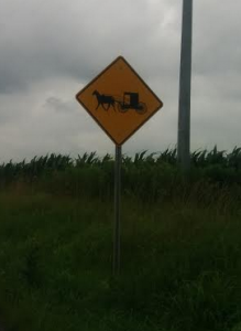 un panneau attention buggies (calèche) Amish, chez les Amish, Amish country